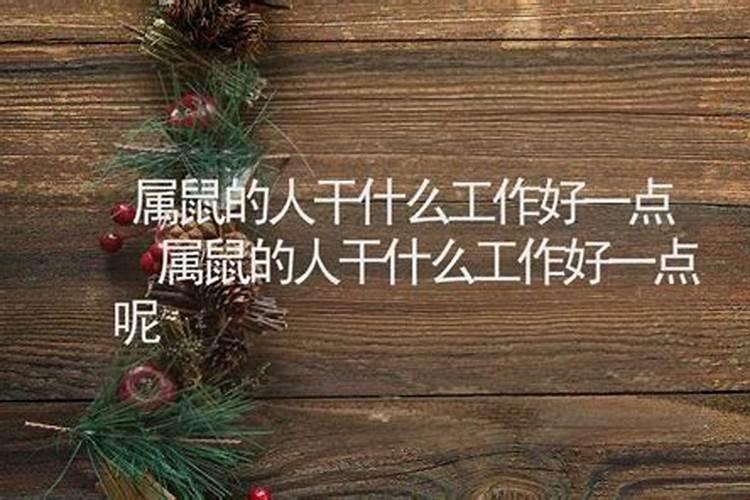 属鼠的人今年适合干什么工作