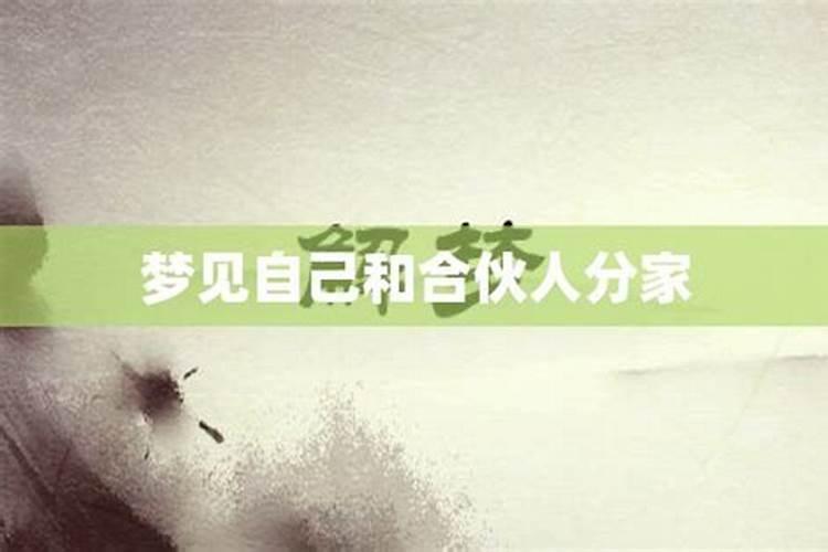 梦到弟兄分家好不好