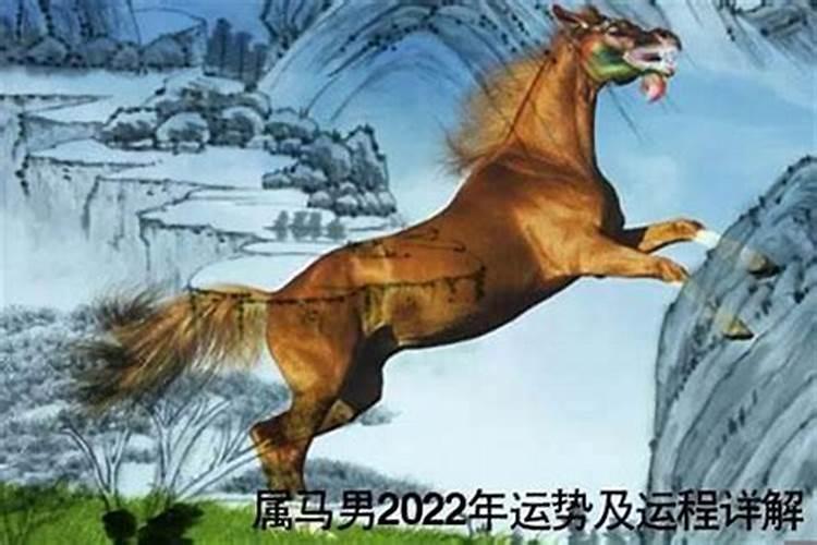 马人遇虎年运势如何看？属马2023年虎年运势