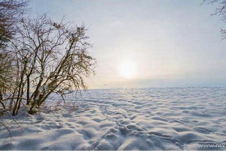 梦见雪地是什么意思有什么预兆