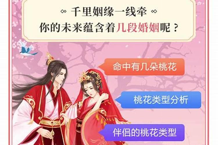 属马适合跟什么属相结婚