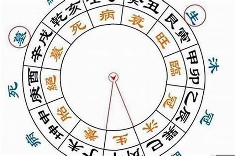 八字术语什么叫专位？八字的专业词汇怎么解释