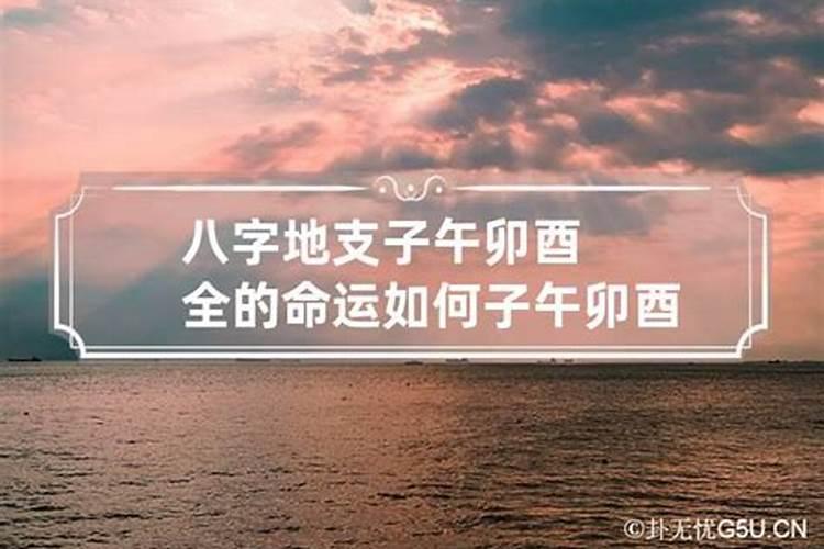 生辰八字子午卯酉全是什么意思