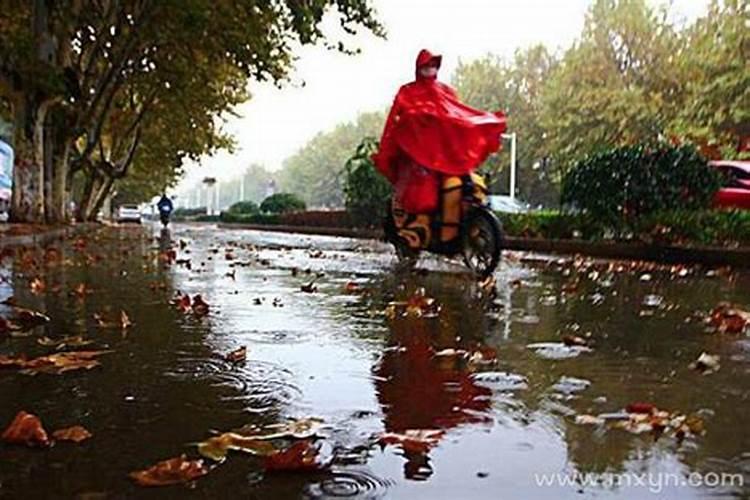 梦见地上都是雨水积水