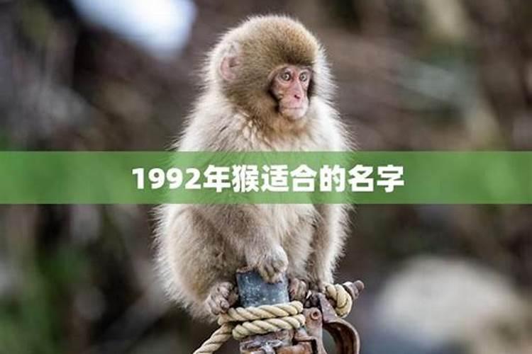 1992年猴年运势如何