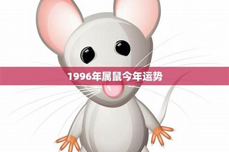 19960750今年老鼠运势