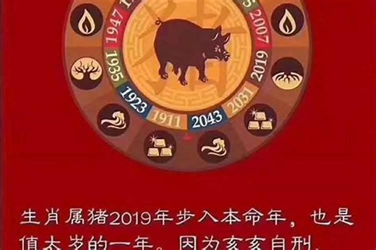 2018年是什么生肖的太岁之年