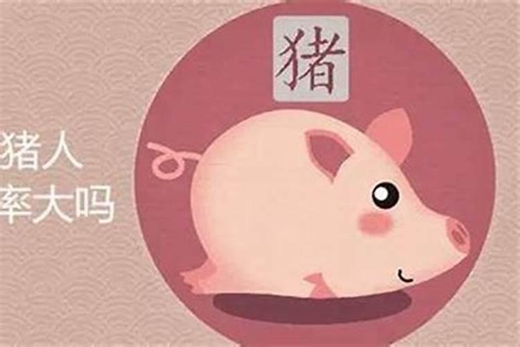 生肖猪今年爱情运势排名