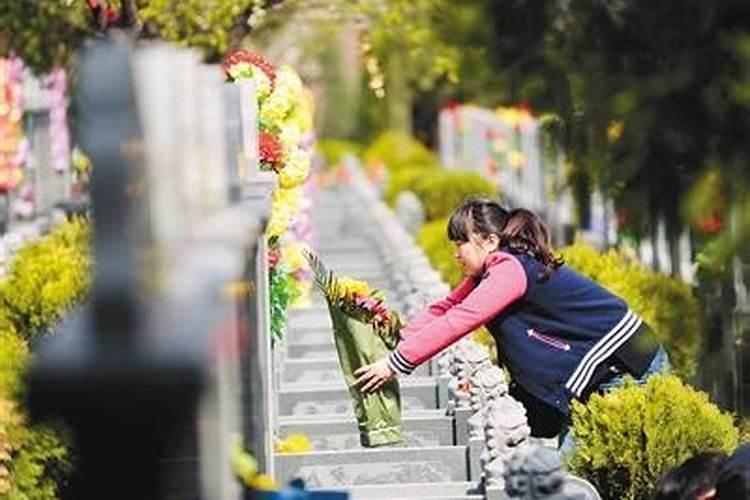 山南山北多墓田清明祭扫各纷然