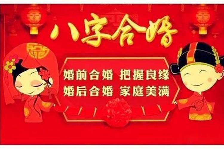 属鼠今年运势爱情运势如何