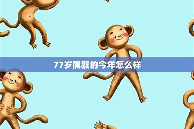 77岁属猴人今年运势