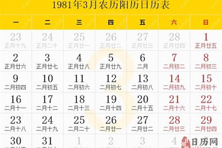 1981农历3月19出生的运程