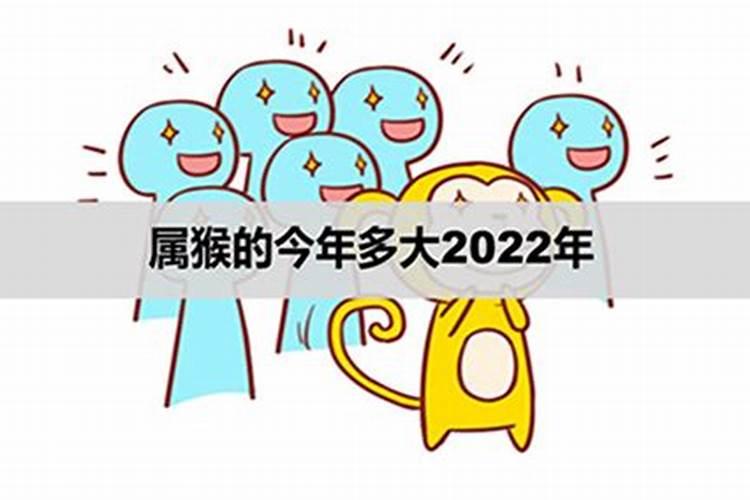 属猴的在2022年运势好不好