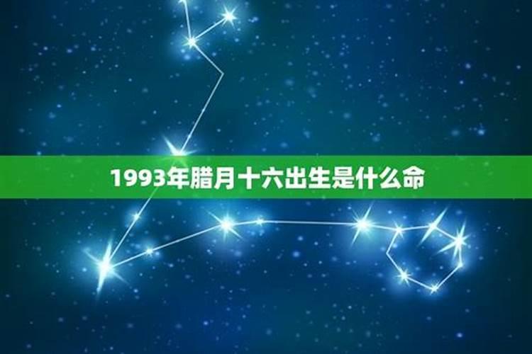 93年腊月出生属什么