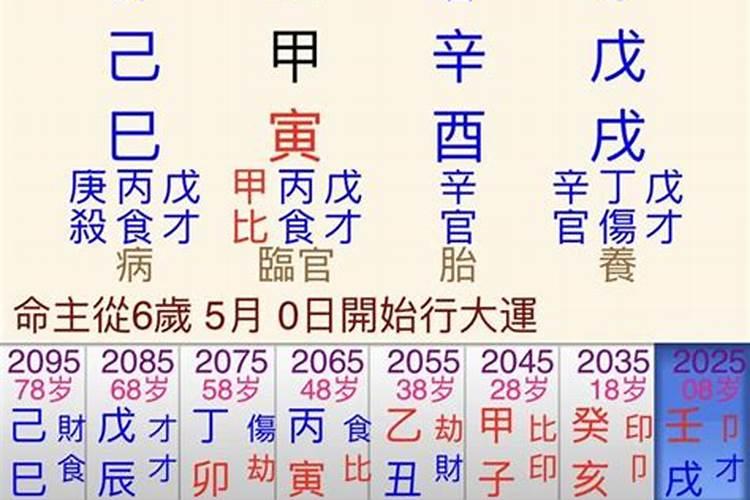 87年生肖兔在2024年运势