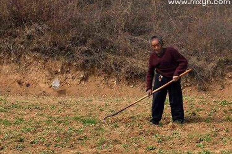 梦见男人的根扯掉了