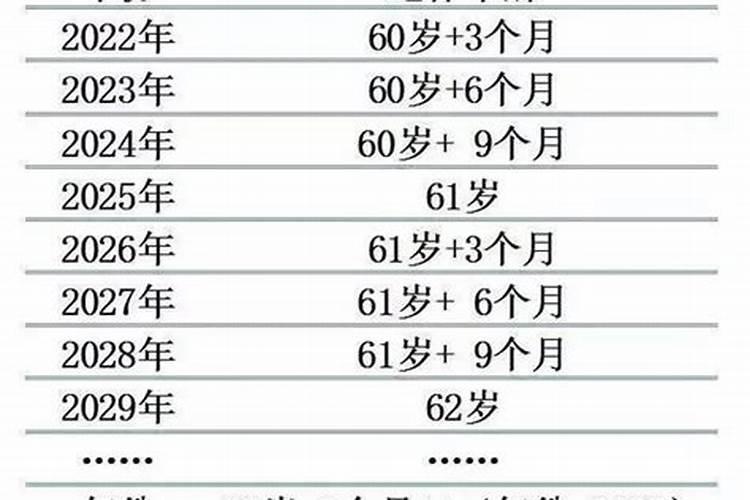 92年猴子和80年猴子