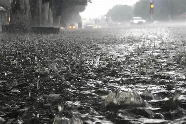 孕妇梦见下雨是什么征兆