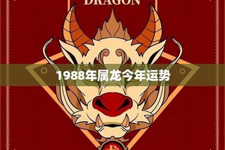 1988年属龙今年的运势及运程