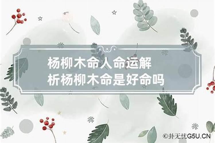 八字戊子月是用化合火月算命吗