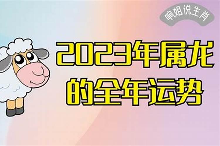 55属羊人今年的运程