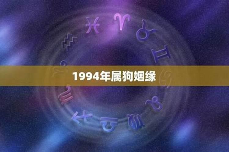 1994年属狗人姻缘方向