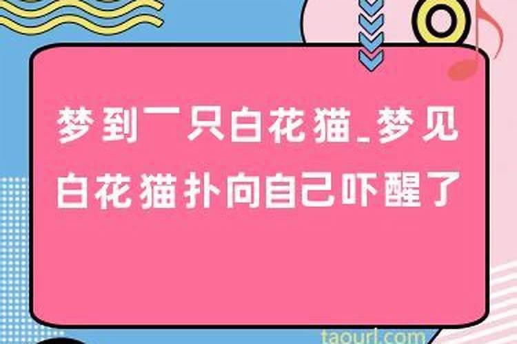 2o21年1月24日搬家吉日