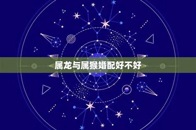 今年运势2022属鸡