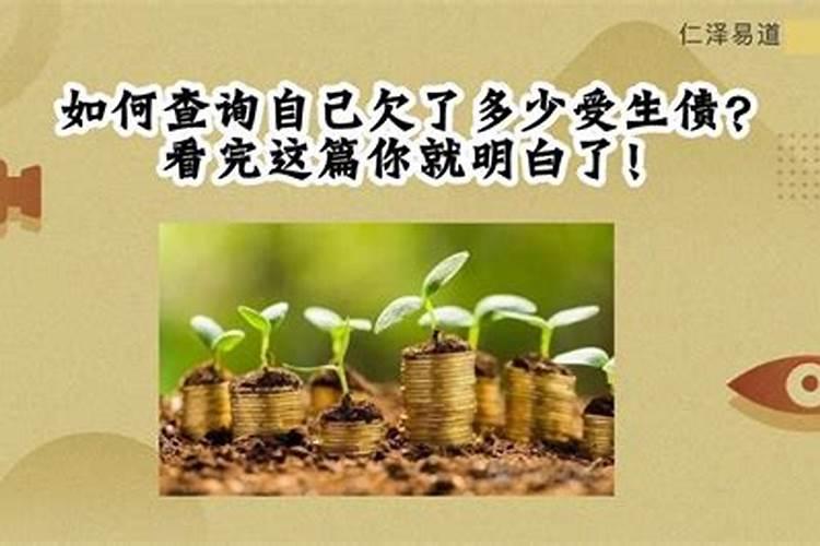 清晨梦见家人全部遇难