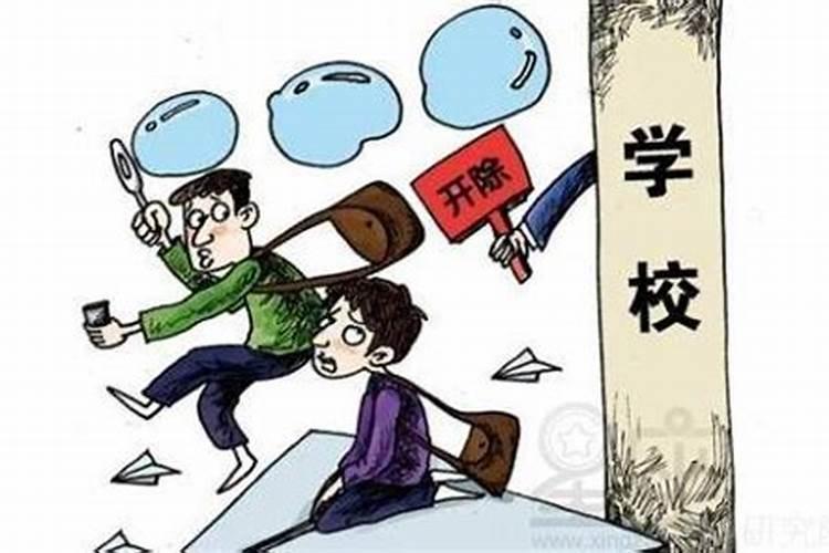 梦见开了新公司很多人