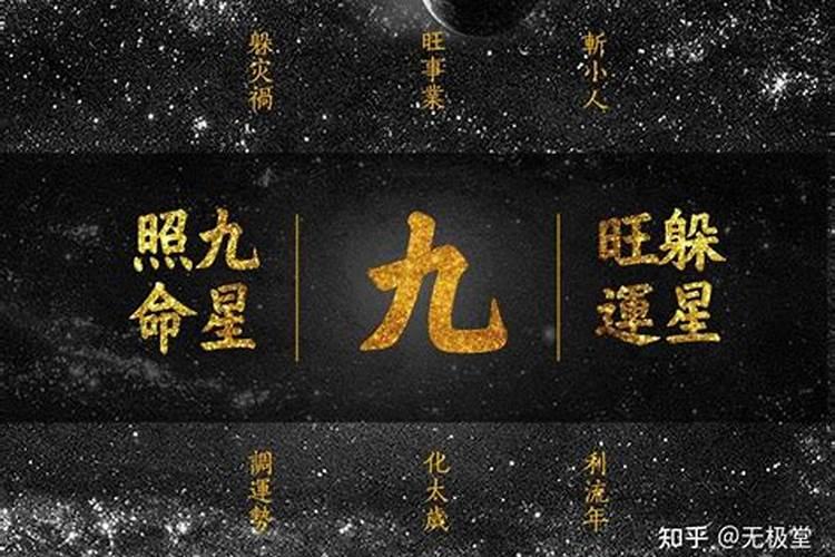 属马的今年财运怎么样2023年