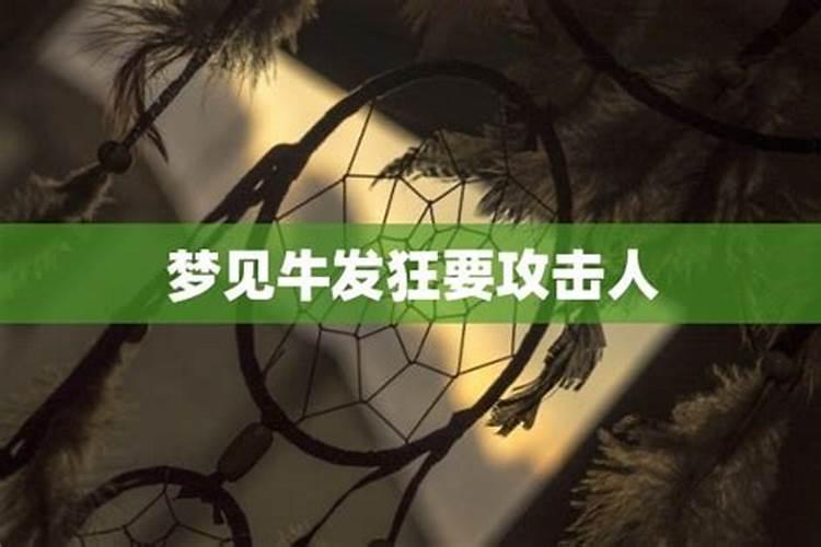 梦见牛攻击我是什么预兆