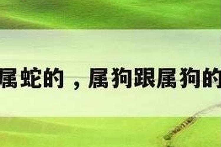 周公解梦梦见被蛇咬预兆什么