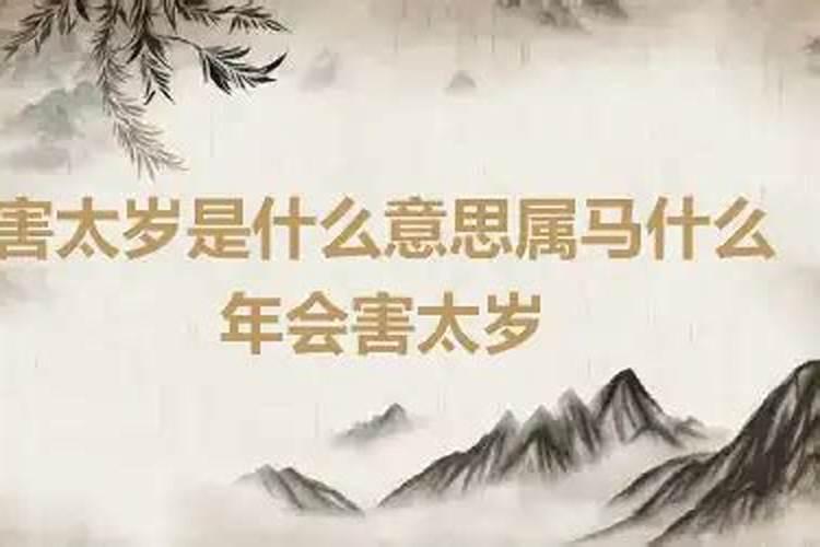 属马今年害太岁怎么化解