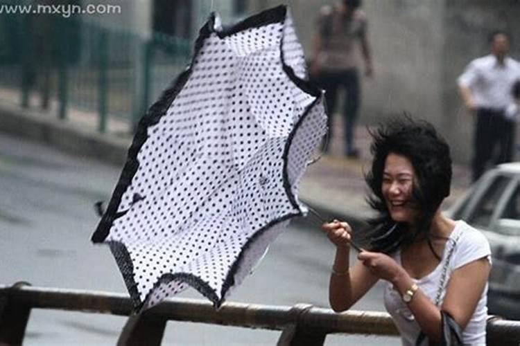 单身女人梦见下大雨