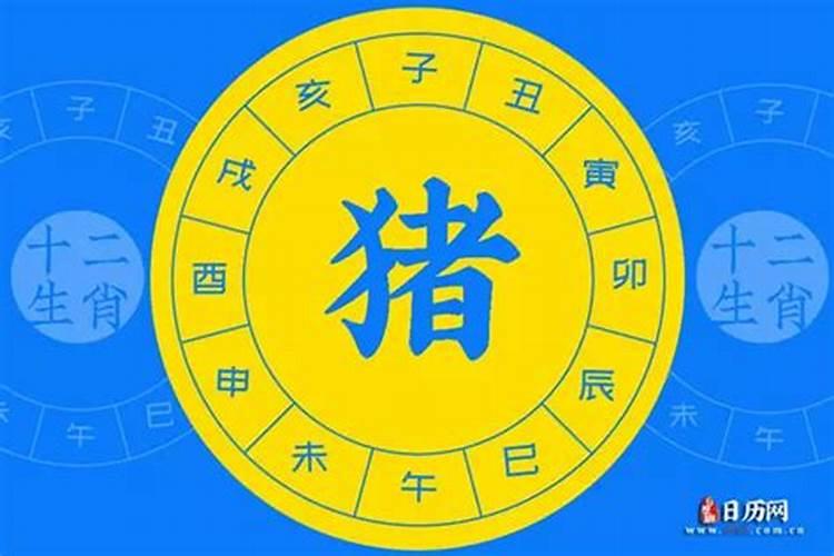 2024年不适合生子的属相