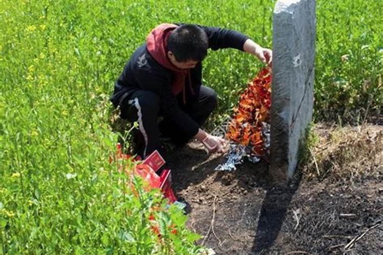 梦见上祖坟祭拜烟花满天