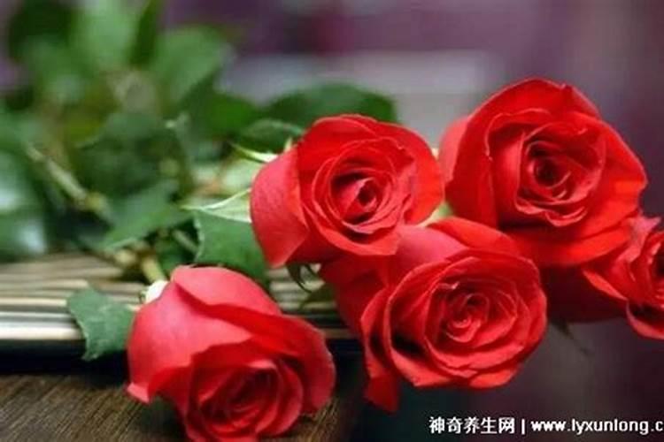 七夕节应该买几朵玫瑰花