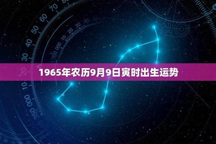 杳农历993年9月20出生人的运势