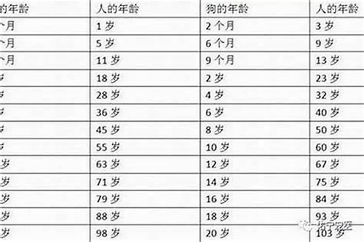 如何算的命中犯太岁