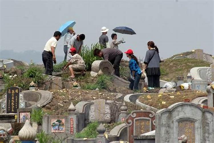 清明节去哪扫墓