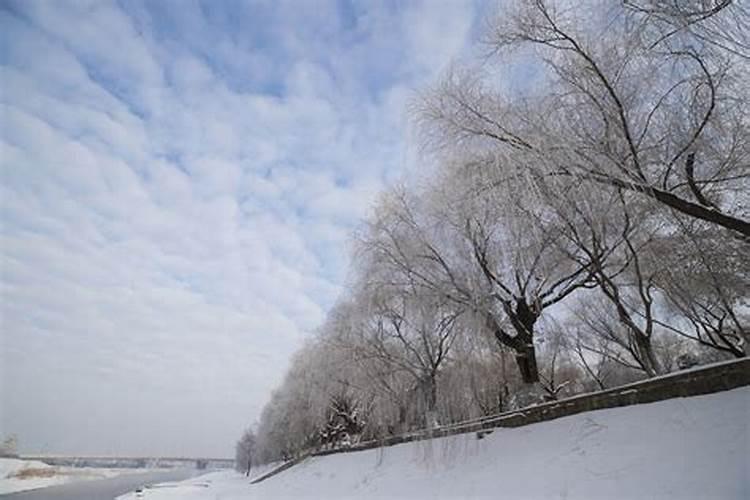 哈尔滨冬至节气的习俗