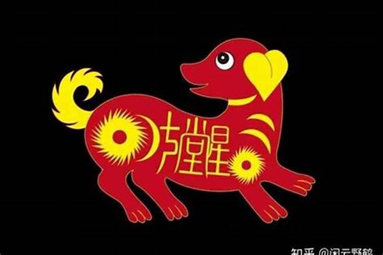 生肖狗在哪一年破太岁