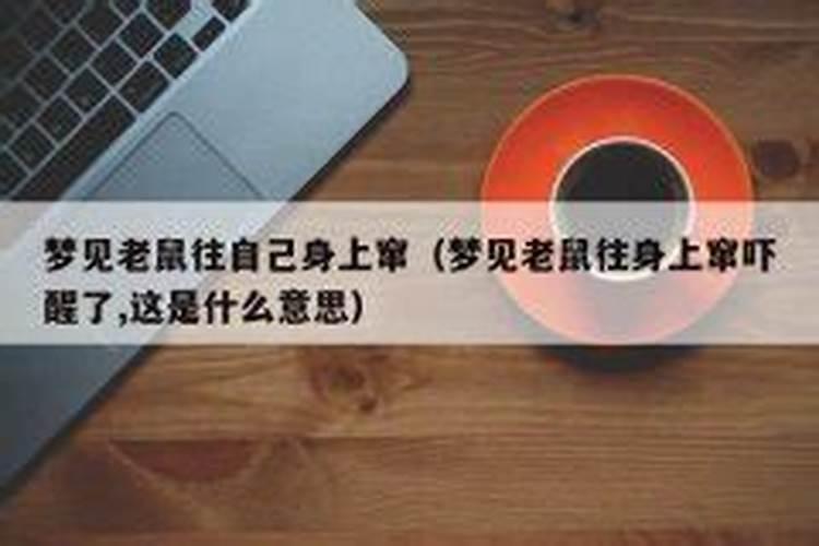 梦见老鼠往我身上扑屎什么意思