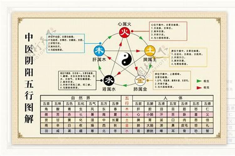 阴阳与五行的作用关系