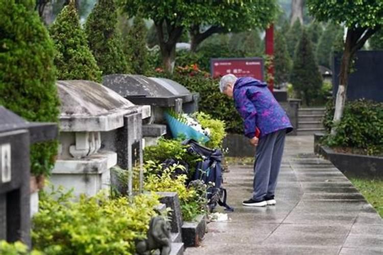 广州公墓清明节祭拜