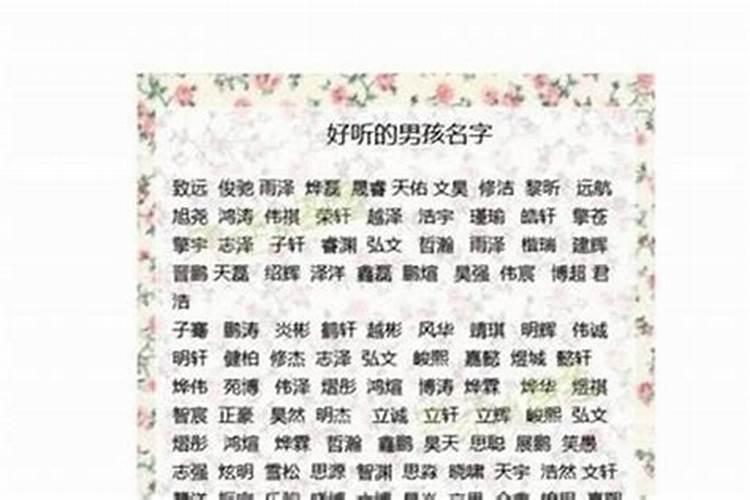 枍给男孩取名字好不好