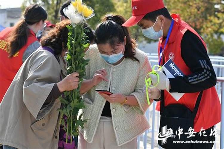 合肥市民政局清明祭祀