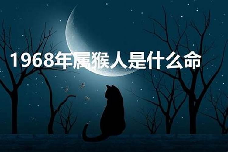 属狗的今年5月的运程