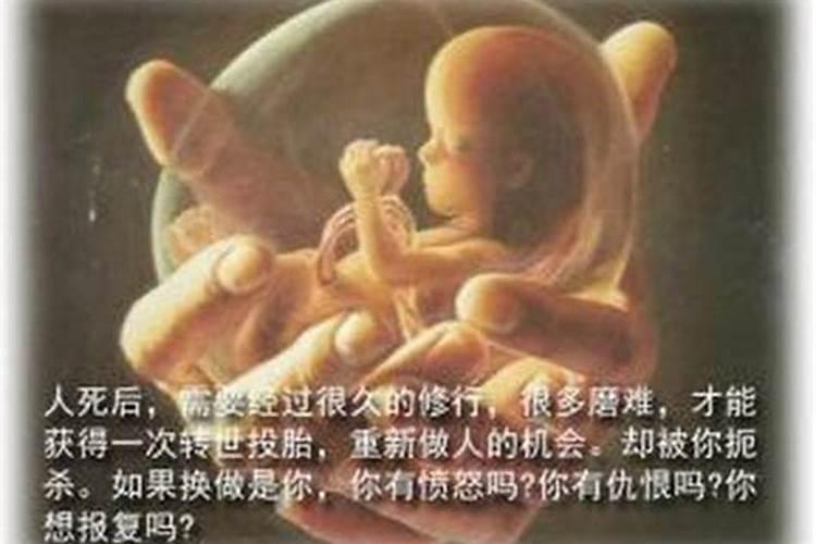 龙抬头生的女人命运如何